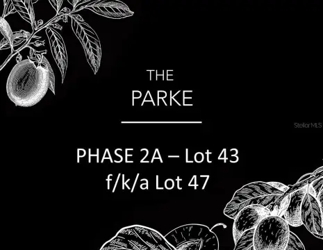 Residential Land in Archer, Florida