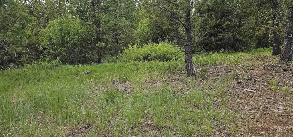 Picture 41