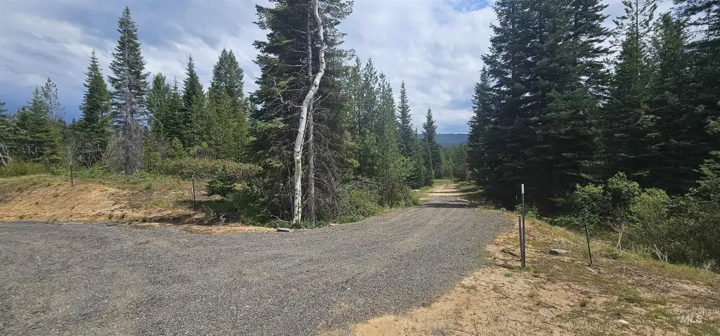 Picture 22