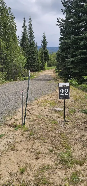 Picture 9