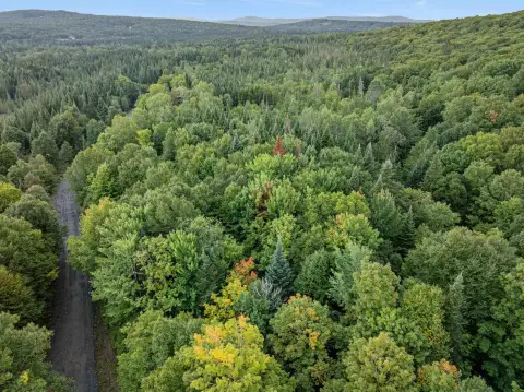 Wooded Recreation Land