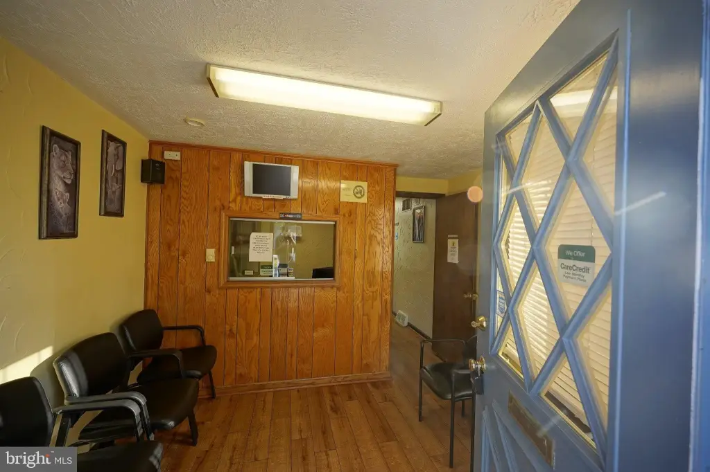 Picture 11
