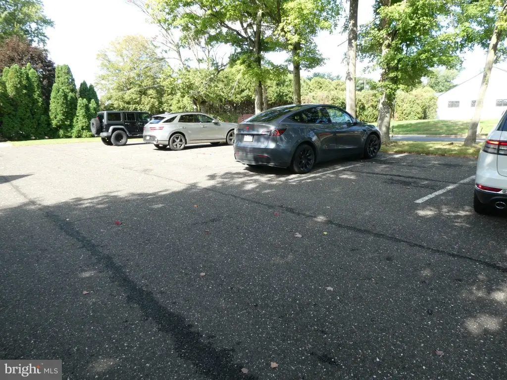 Picture 12