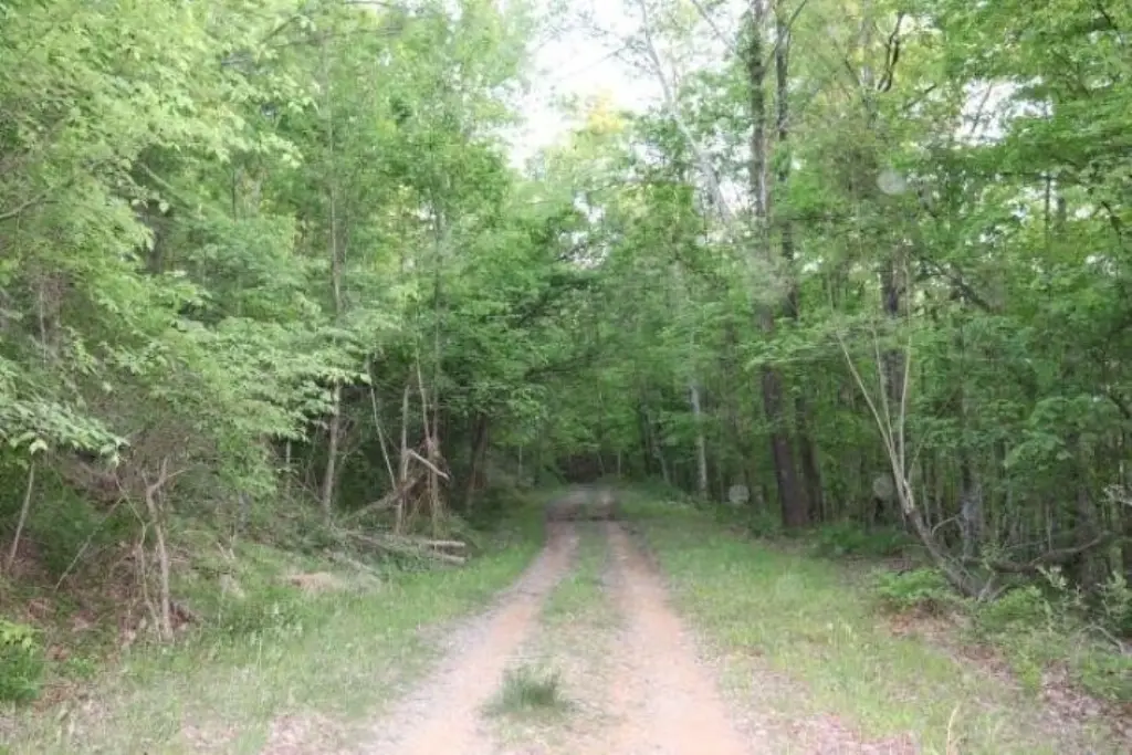 Picture 8