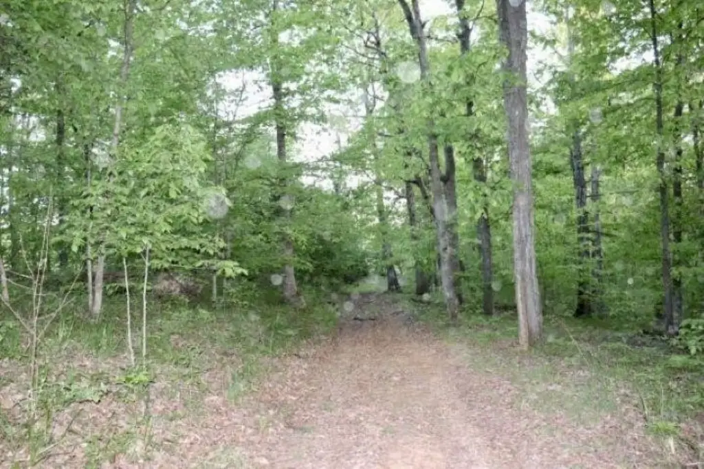 Picture 10