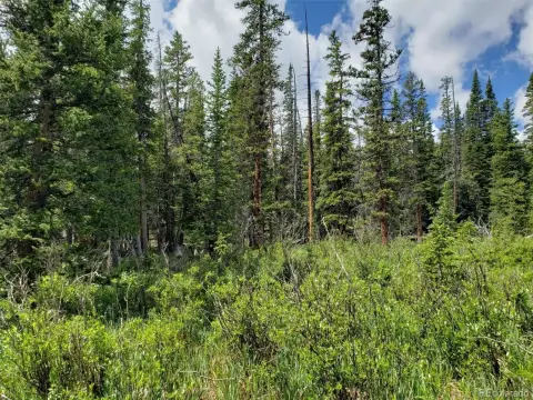 Treed Land Near Breckenridge Ski