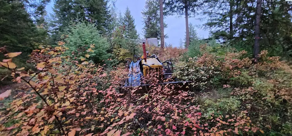 Picture 21