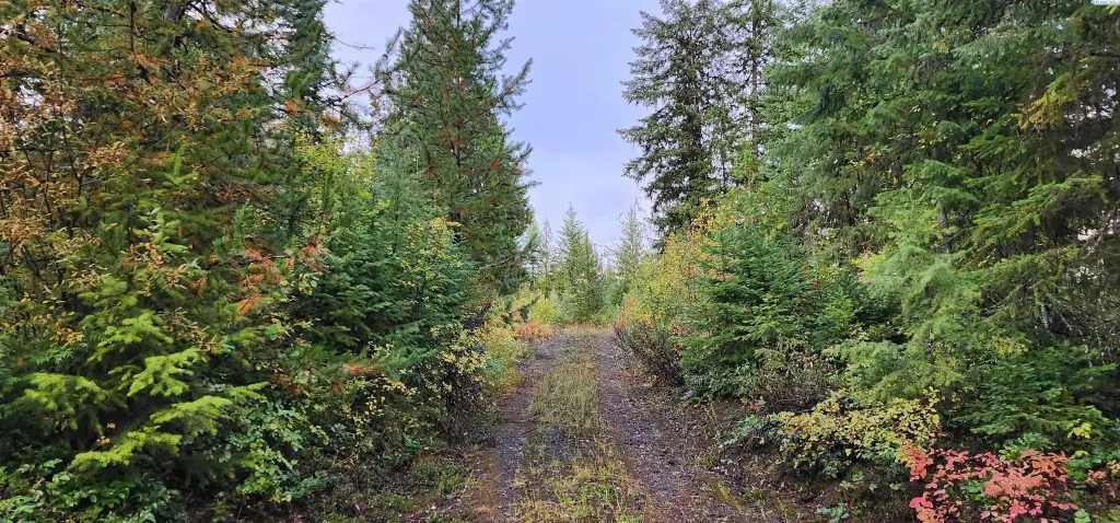 Picture 18