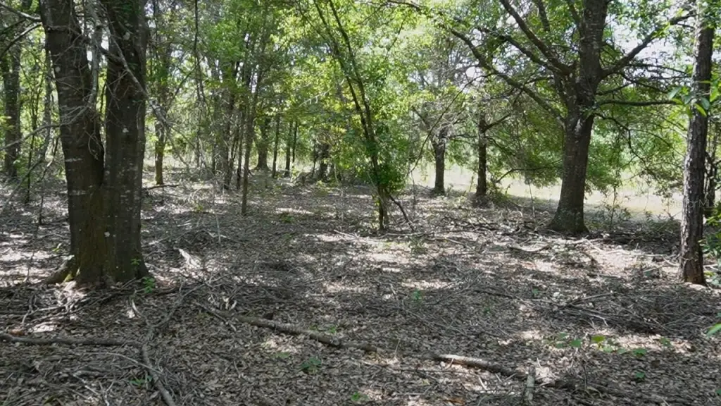 Picture 8