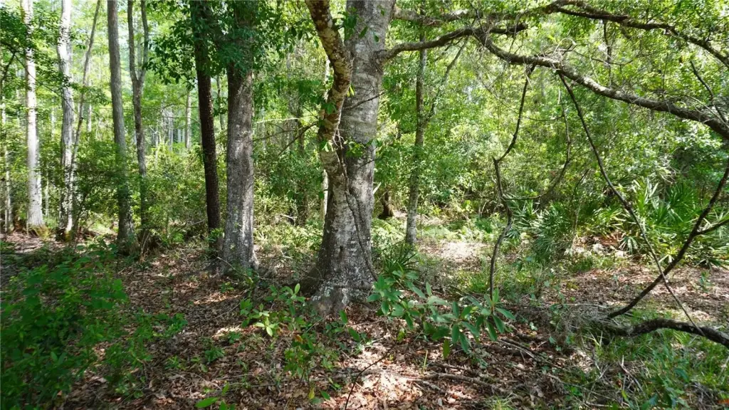 Picture 14