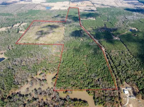 175 Acre Timber and Wildlife Tract