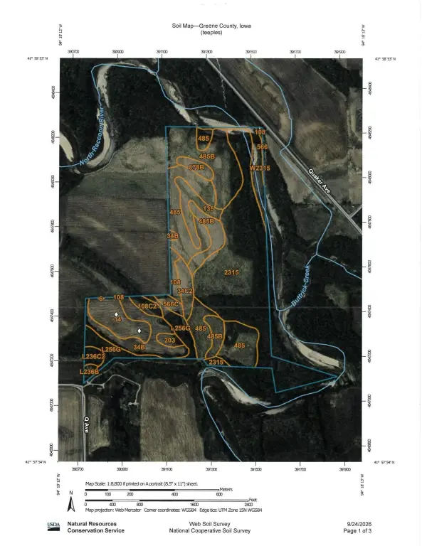 Picture 9