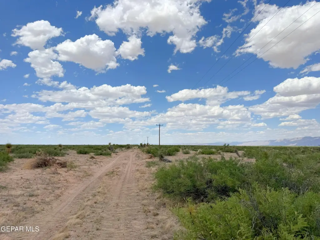 Picture 26