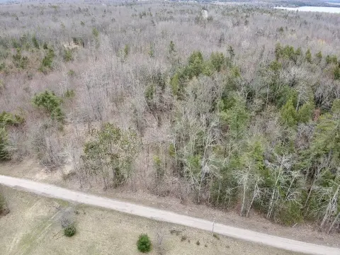 Prime Land Near Burt Lake