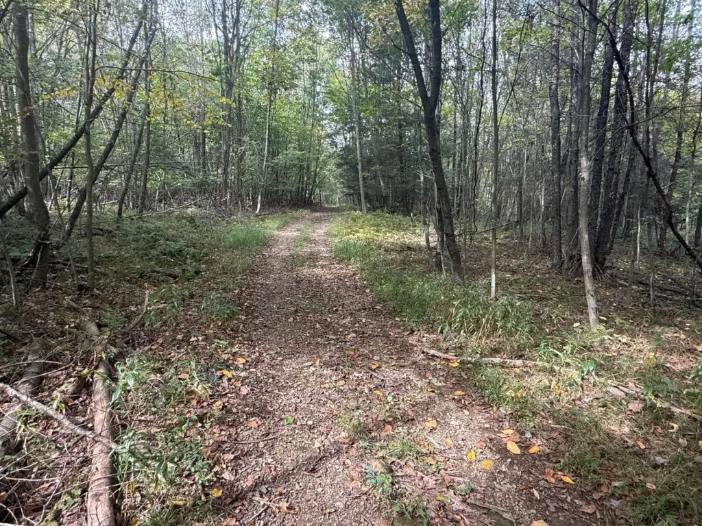 Picture 41