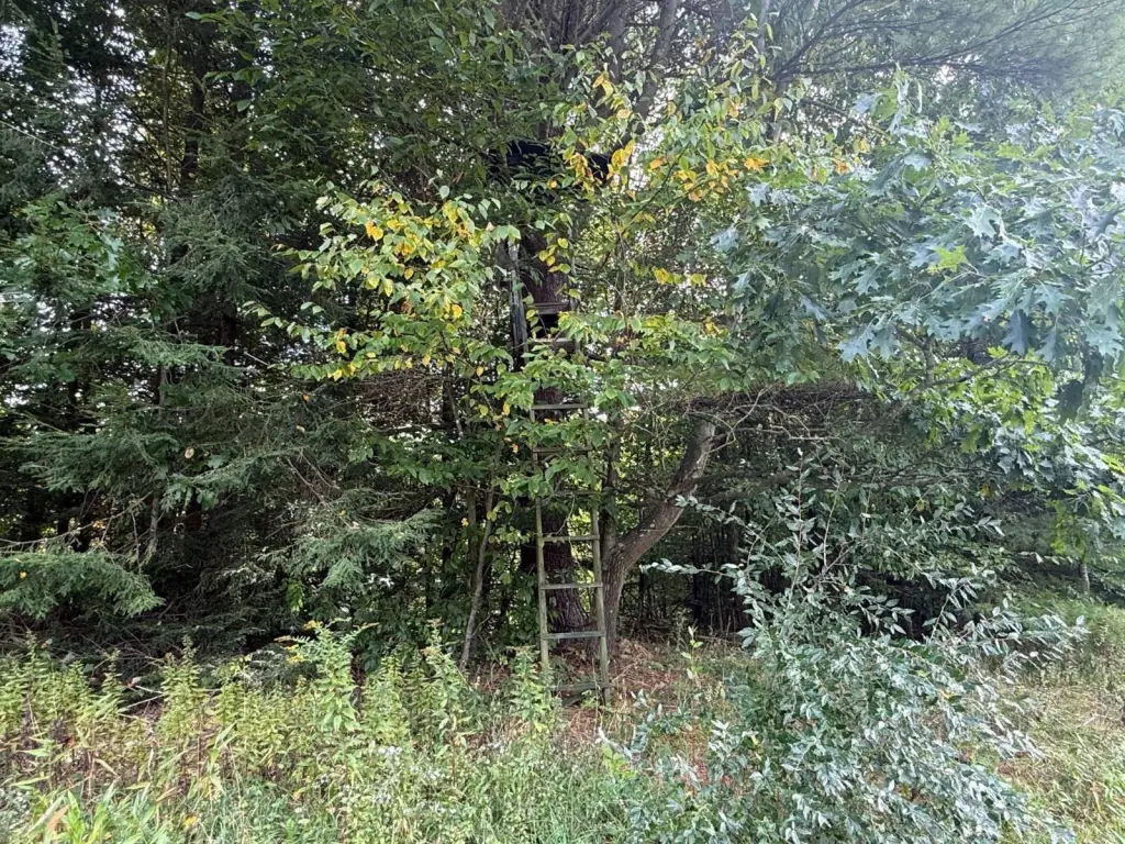 Picture 47