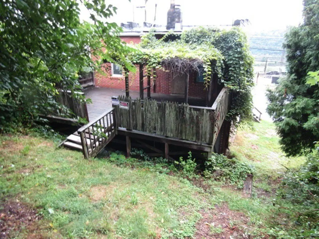 Picture 4