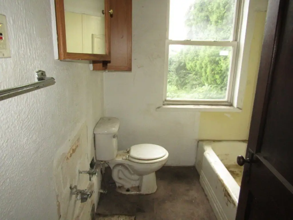 Picture 7