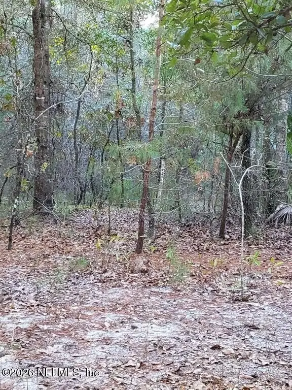 Picture 4