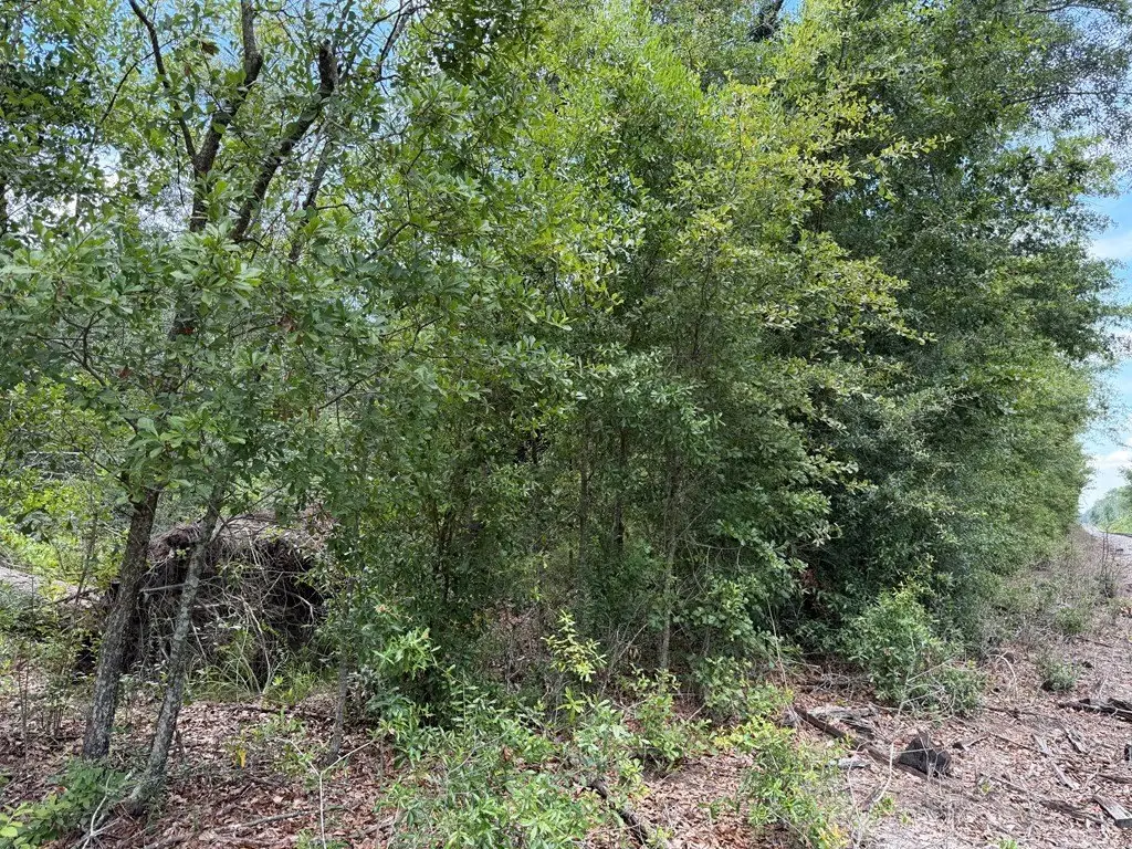 Picture 17