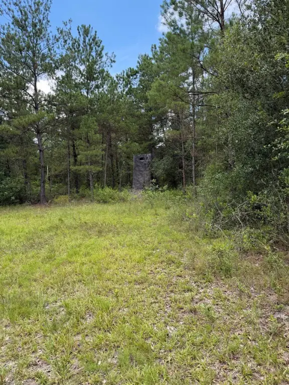 Picture 20