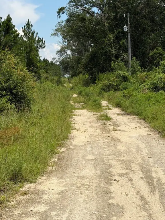 Picture 2