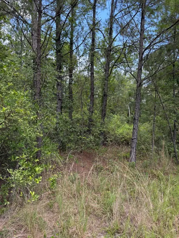 Picture 25