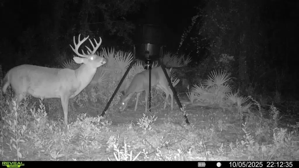 Picture 3