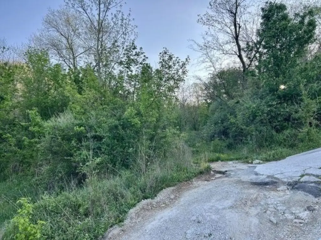 Picture 6