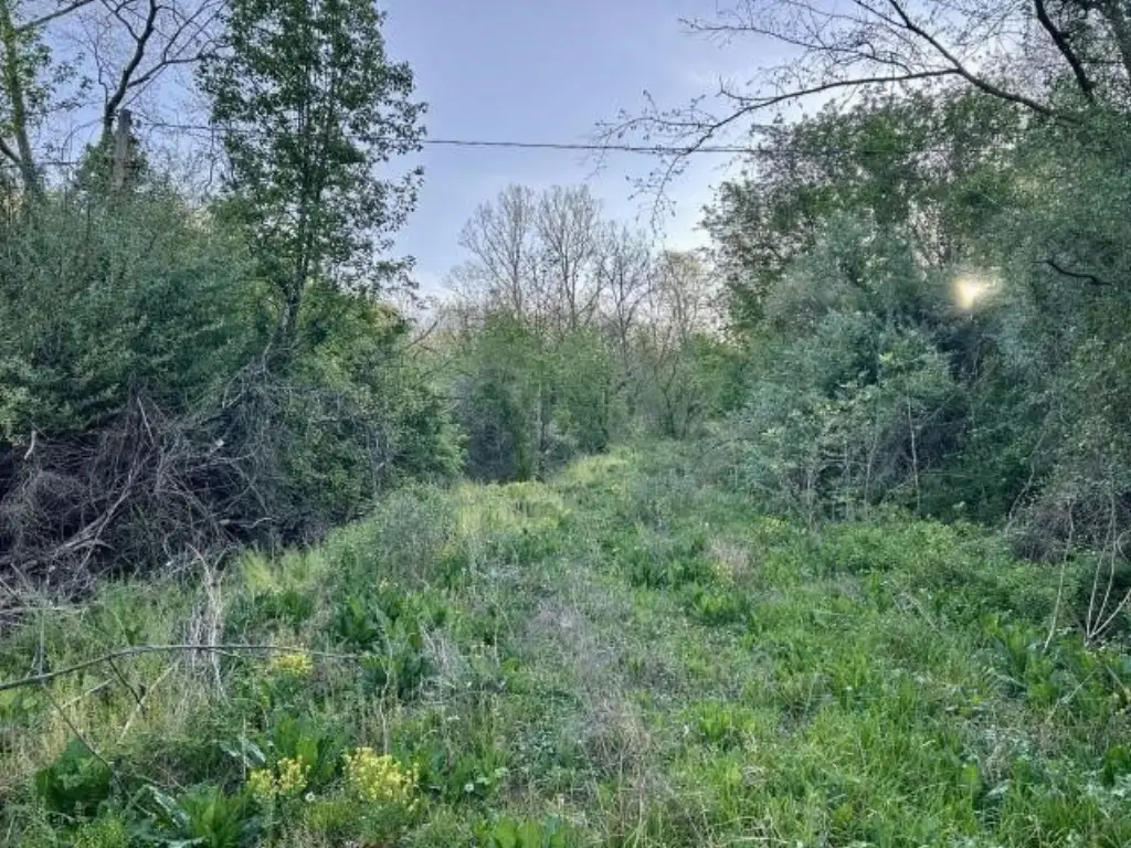 Picture 3