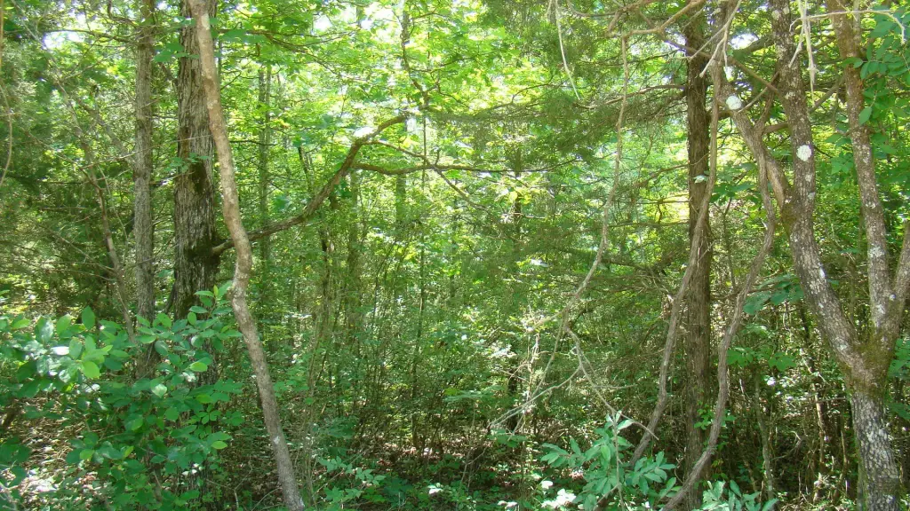 Picture 9