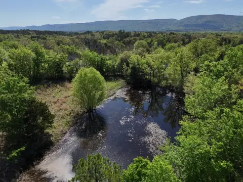 9.2 Acres Vacant Land