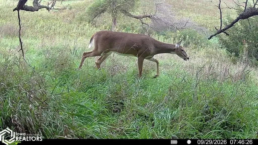 Picture 23