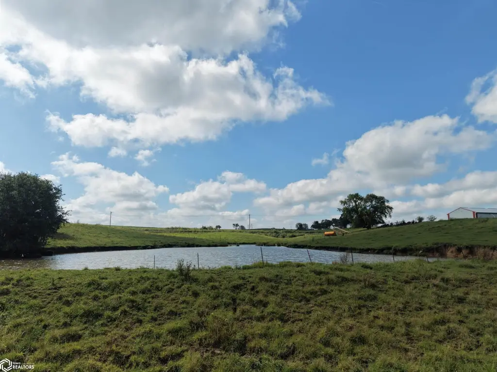 Picture 9