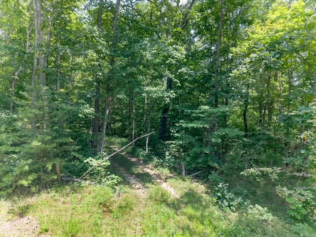 Picture 23