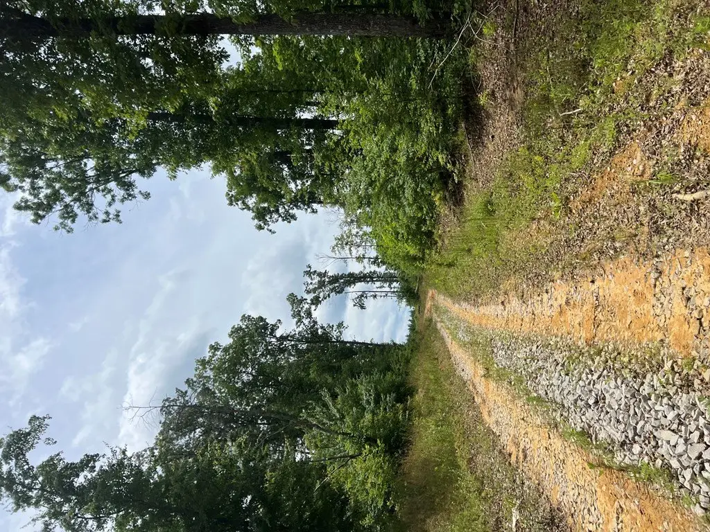 Picture 36