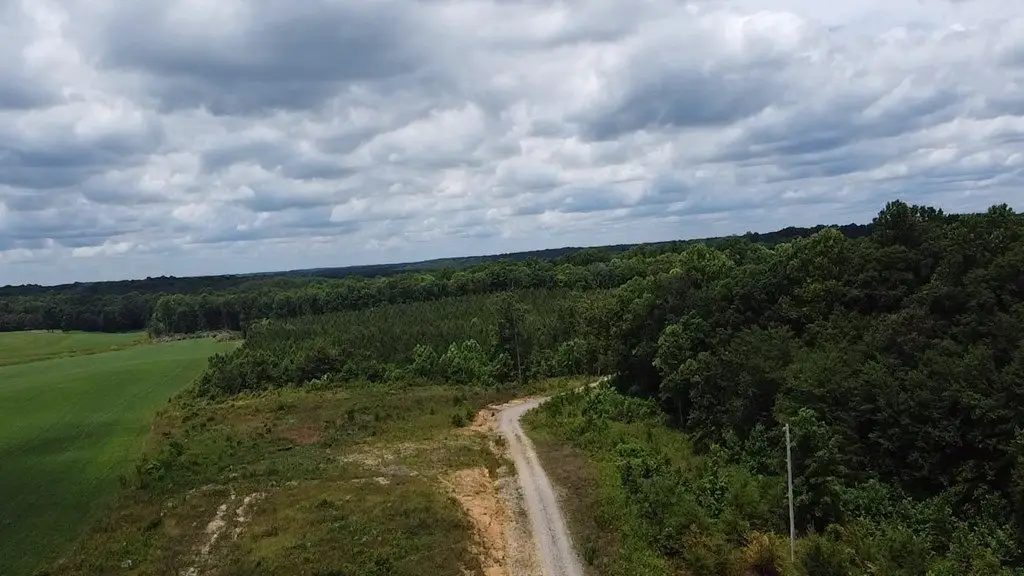 Picture 15