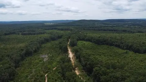 Hunting Land with Established Roads