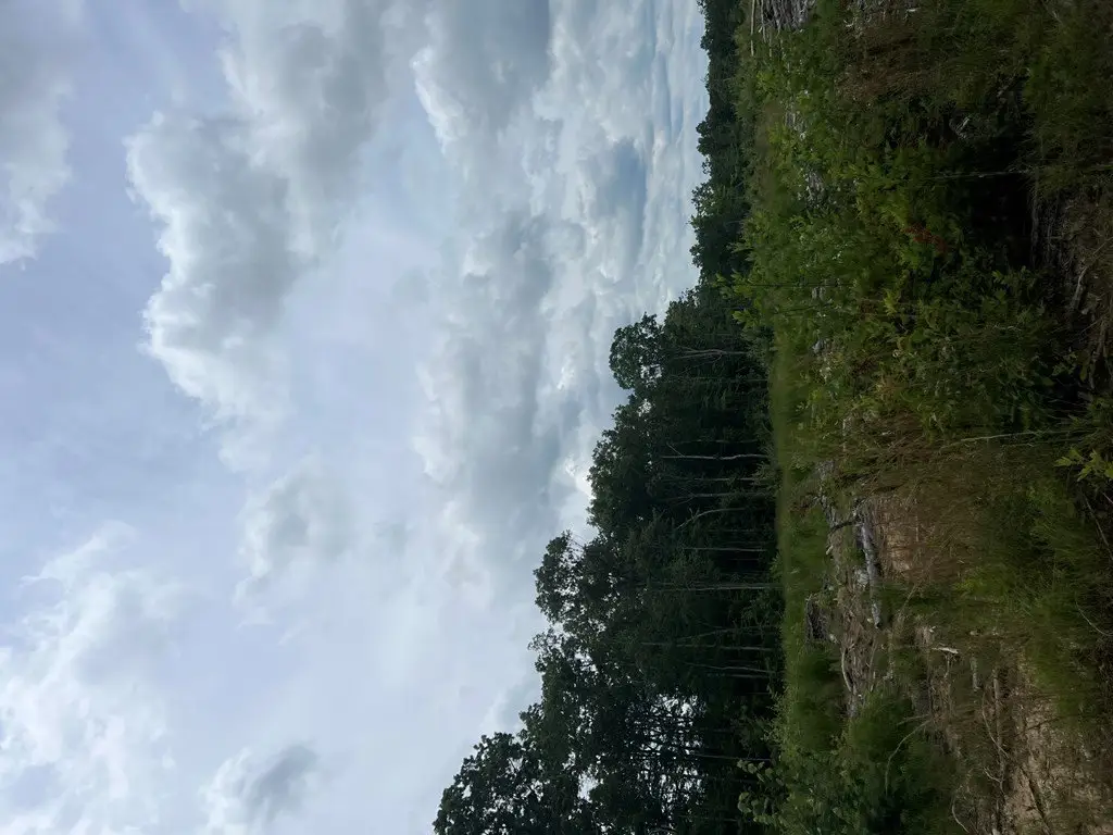 Picture 30