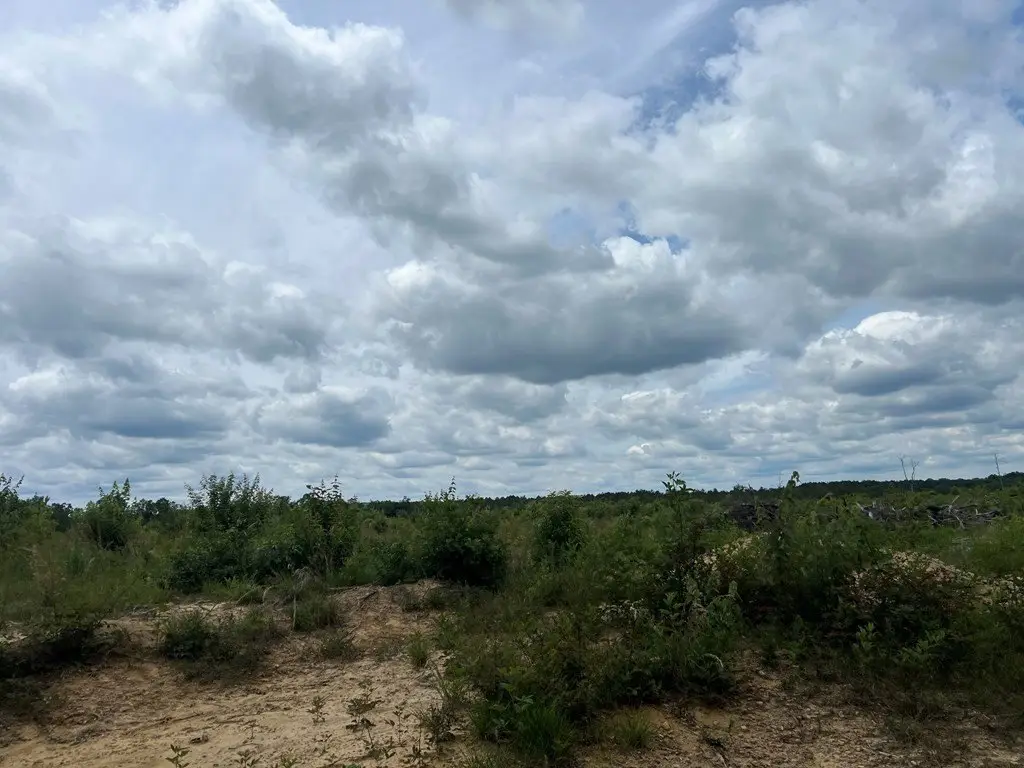 Picture 28