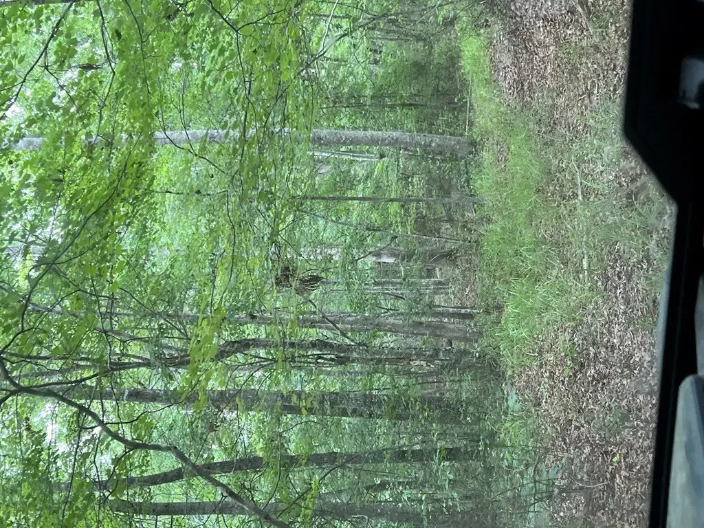 Picture 48