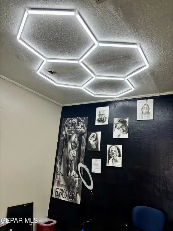 Picture 4