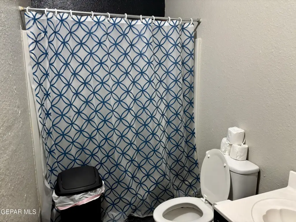 Picture 17