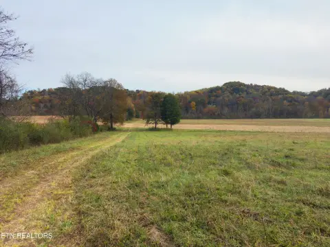 Pasture Land in South Knoxville
