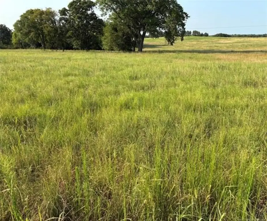 Picture 7