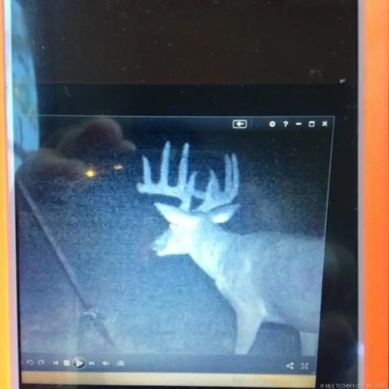 Picture 3