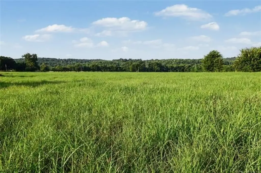 Picture 7