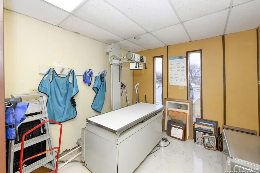 Picture 25