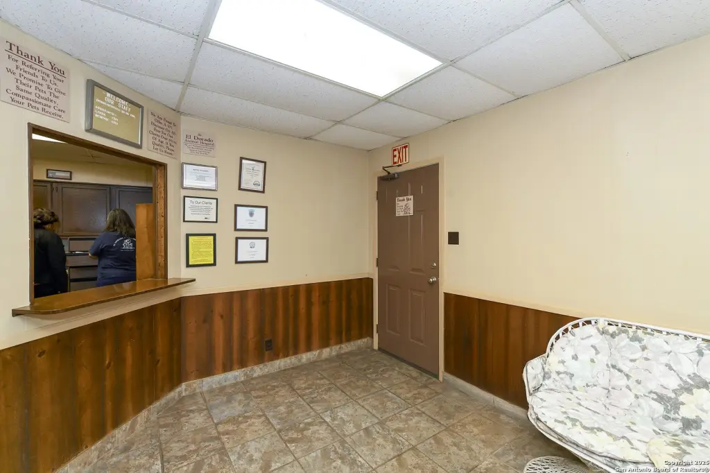 Picture 7