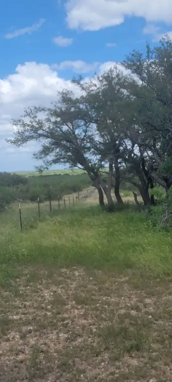 Picture 3
